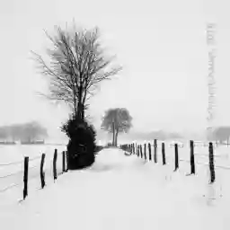 'Auf einem schneebedecktem Feldweg' in a higher resolution